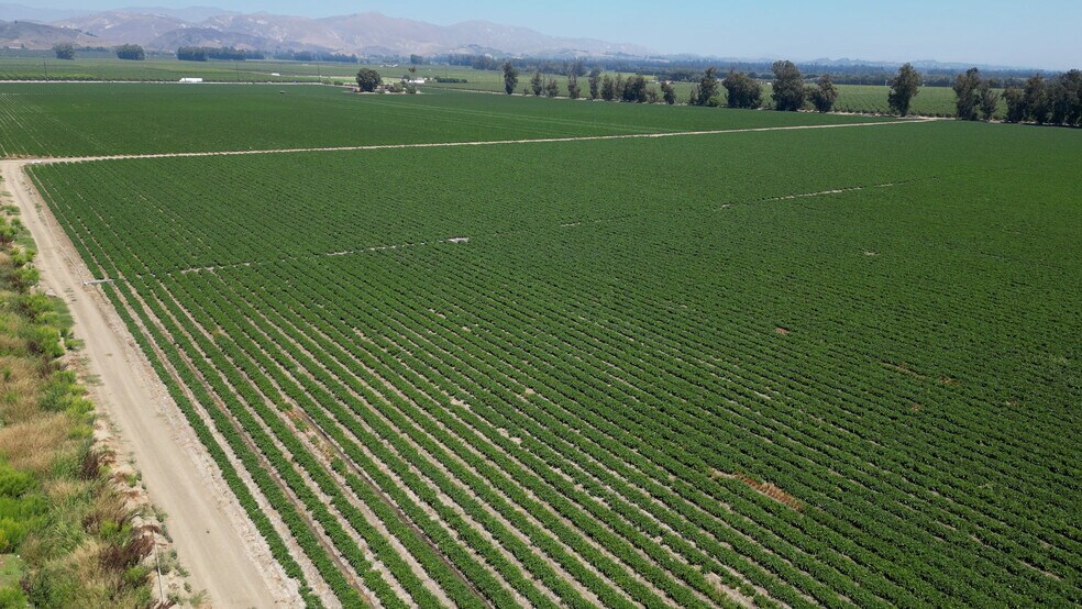 More Photos Of 150 Los Angeles, Somis Land For Sale