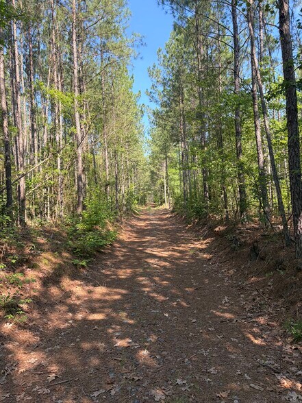 More Photos Of 00 Everett Chappell Rd, Mount Gilead Land For Sale