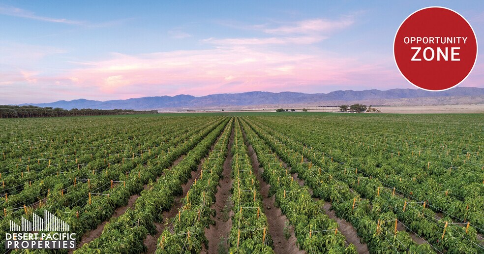 Primary Photo Of 71st Ave, Mecca Land For Sale