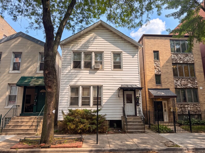 Primary Photo Of 823 S Carpenter St, Chicago Apartments For Sale
