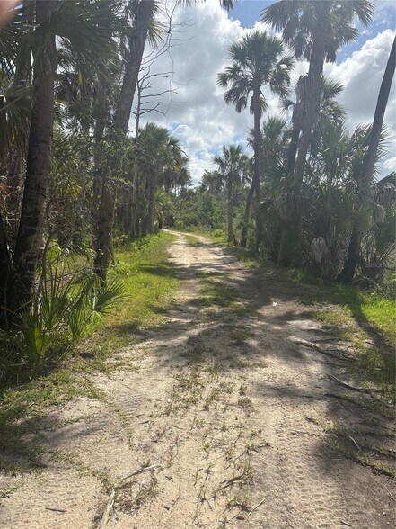 More Photos Of 3217 Shine Ln, Spring Hill Land For Sale