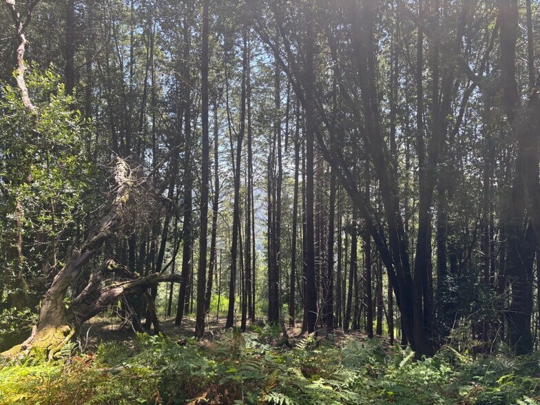 More Photos Of 21380 Siri rd, Guerneville Land For Sale