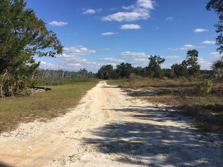 150 Beulah Church Rd, Crescent City, FL 32112 Land For Sale