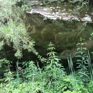 More Photos Of 11251 Highway 90, Parkers Lake Hotel For Sale