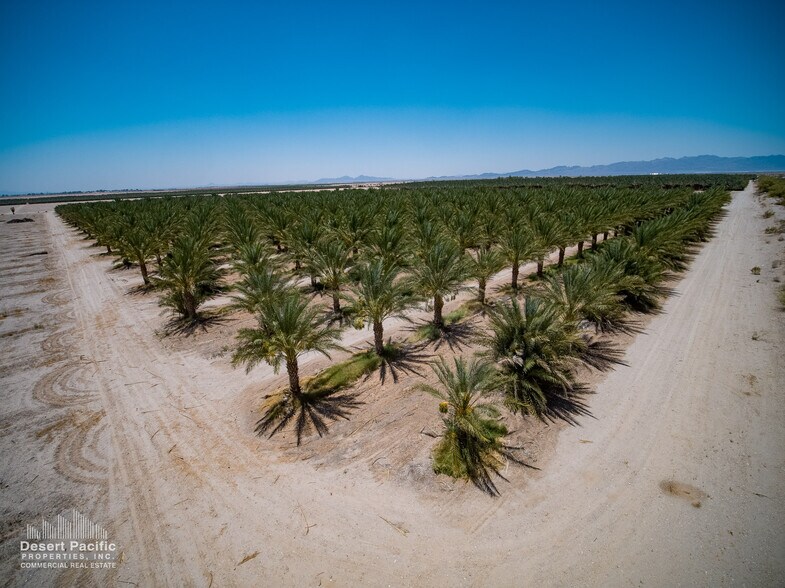 More Photos Of 1095 Midland Rd rd, Blythe Land For Sale