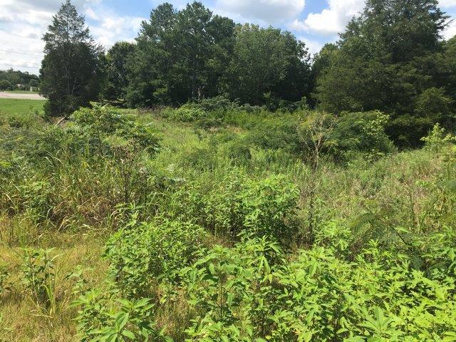 More Photos Of 7509 Emory Rd NE, Corryton Land For Sale