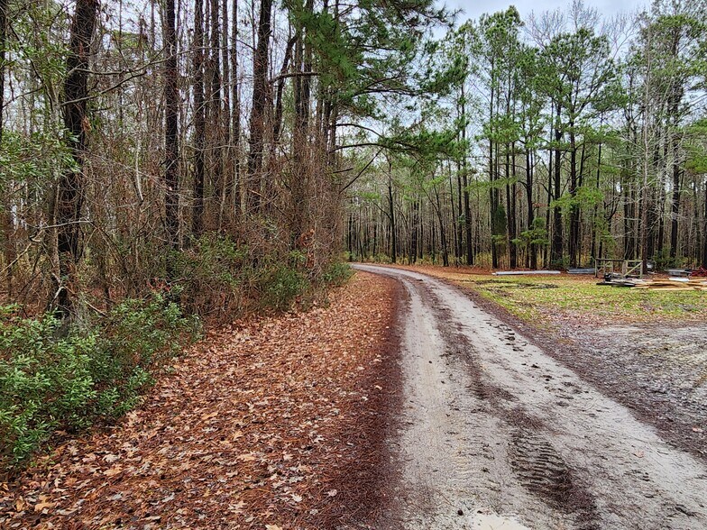 More Photos Of 577 Hoff Rd, Belhaven Land For Sale