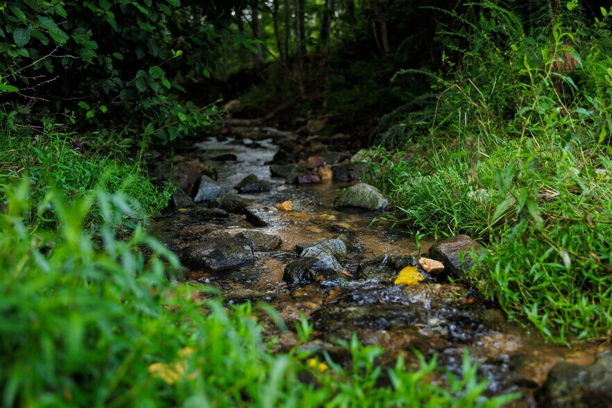 More Photos Of 2199 Roosterville Rd, Roopville Horse Stables For Sale