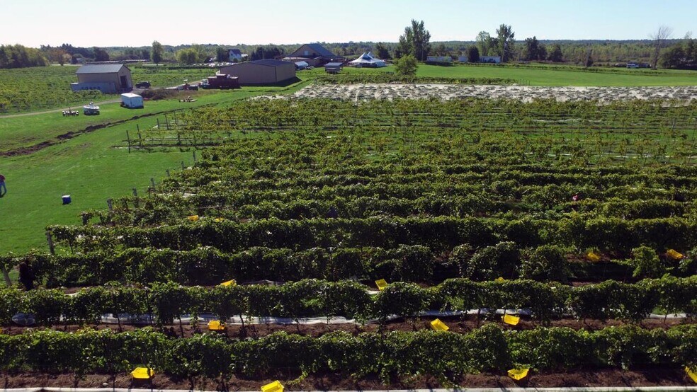 More Photos Of 17371 Line rd, Clayton Winery Vineyard For Sale