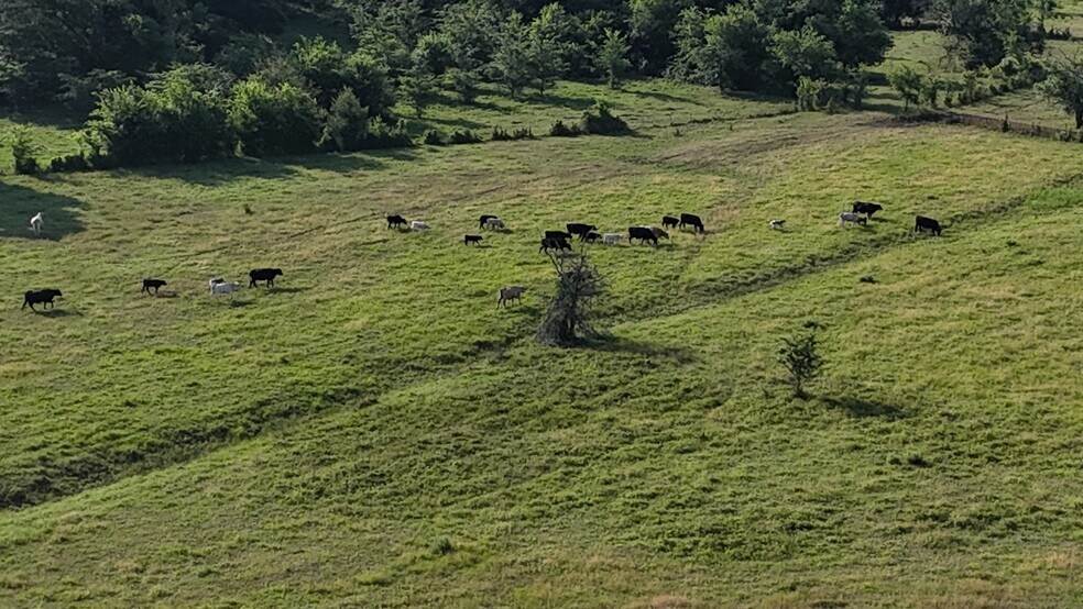 More Photos Of TBD FM 857 Rd, Grand Saline Land For Sale