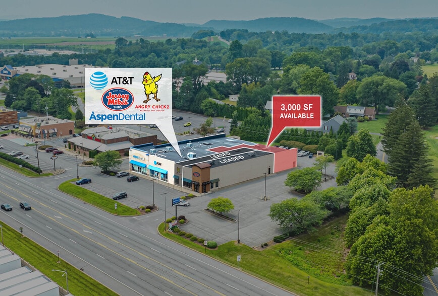 Primary Photo Of 1597 N Susquehanna Trl, Selinsgrove Freestanding For Sale