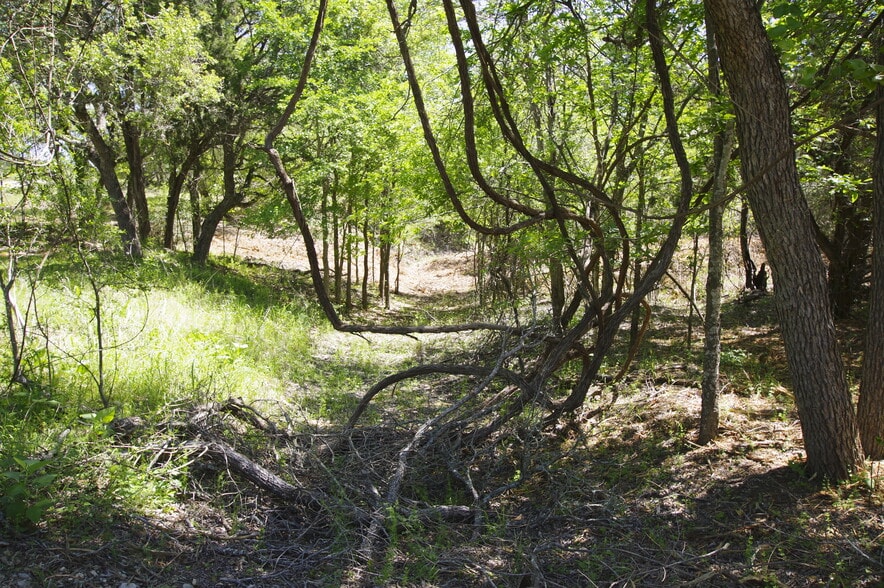 More Photos Of 22007 Nameless Rd, Leander Land For Sale