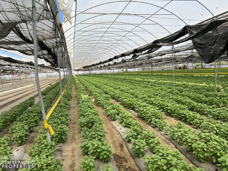 More Photos Of 78100 Harrison St, Thermal Land For Lease