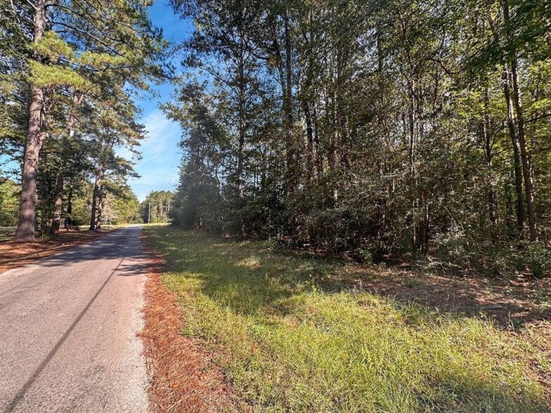 Primary Photo Of TBD B and G loop, Leesville Land For Sale