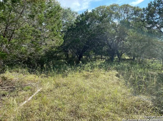More Photos Of 296 Recreation Ln, Spring Branch Land For Sale