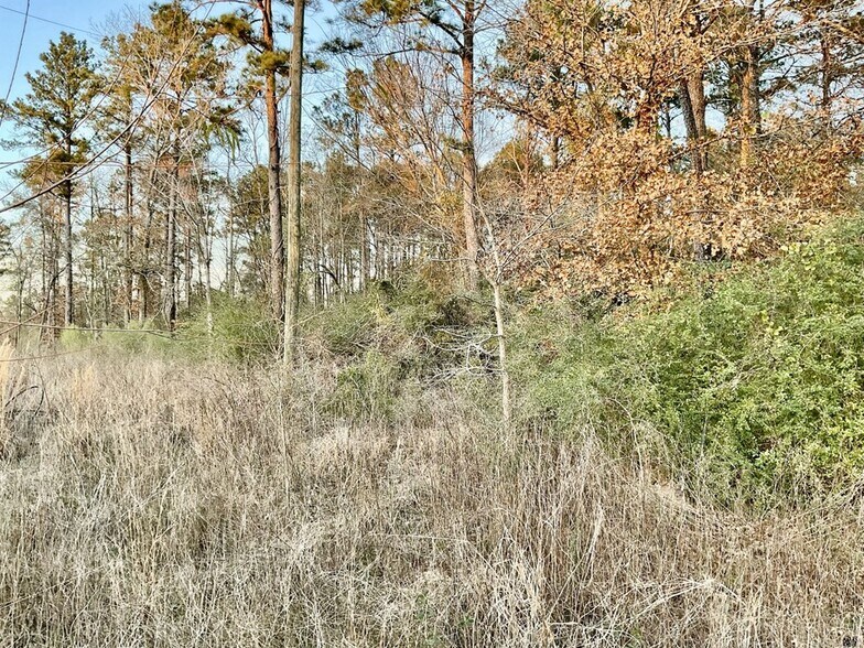 More Photos Of 2232 Medford Loop, Lufkin Land For Sale