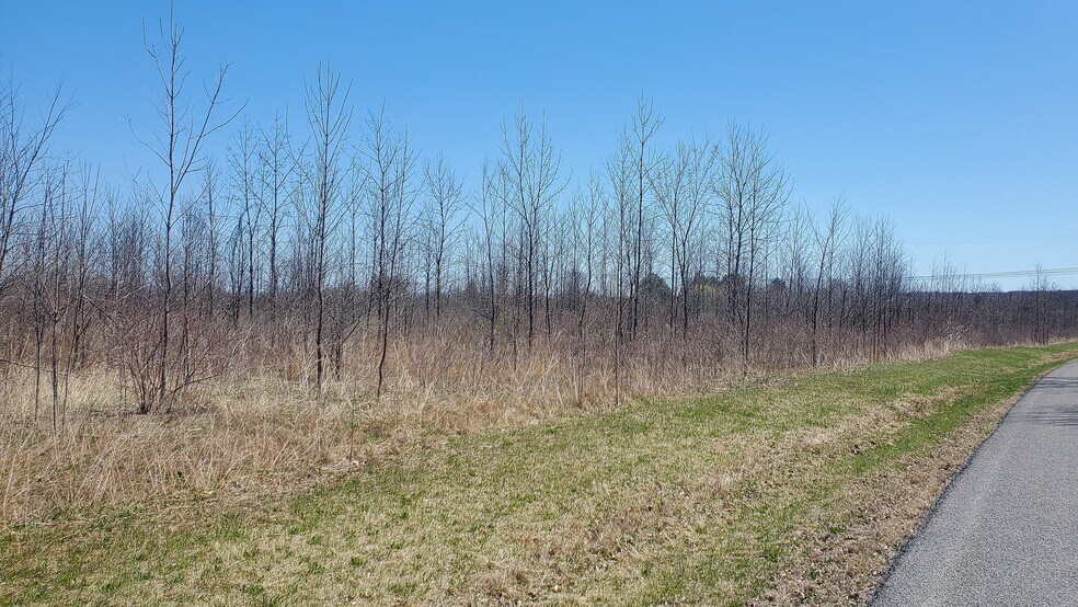 More Photos Of Old Plank Rd, Coxsackie Land For Sale