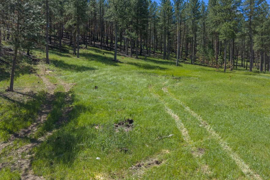 More Photos Of 25287 Lower French Creek Rd, Custer Land For Sale