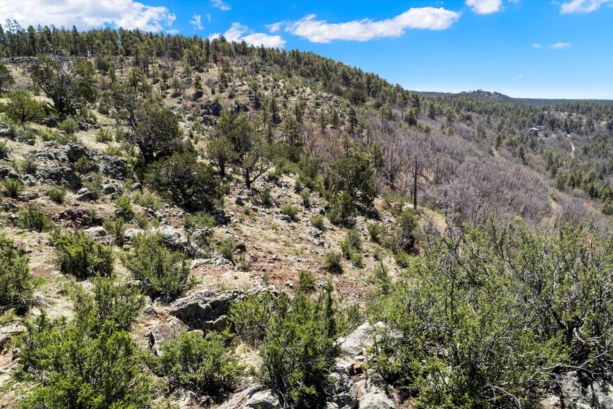 More Photos Of 00 Ponderosa Dr, Flagstaff Land For Sale