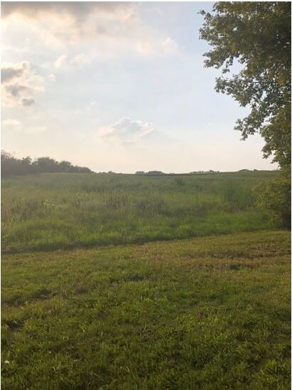 More Photos Of 370 S. Brier Hill Rd, Hampshire Land For Sale