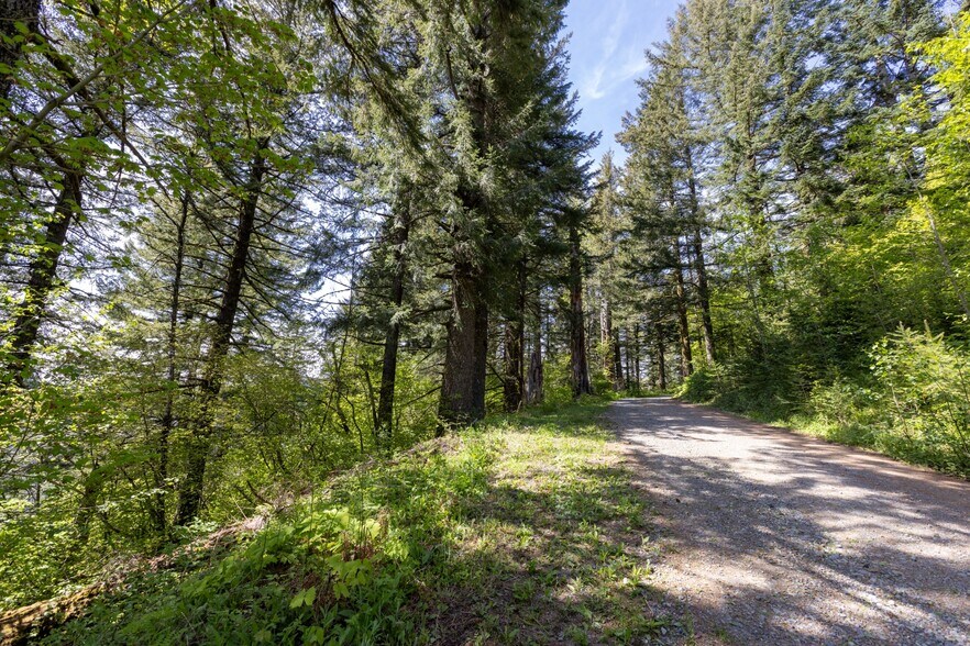 More Photos Of 0 Snag Mountain Road, Washougal Land For Sale