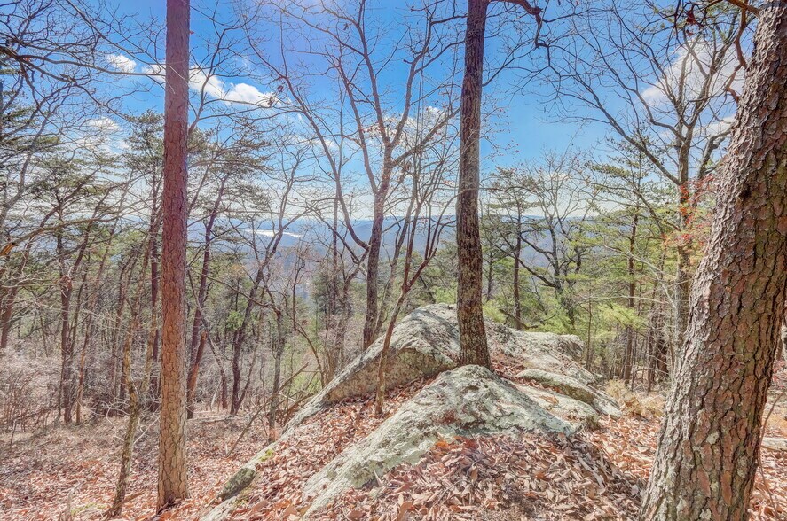 More Photos Of 1915 Tower Trl, Waleska Land For Sale