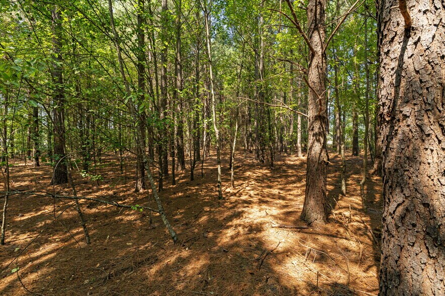 More Photos Of 1244 E Butler Rd, Greenville Land For Sale