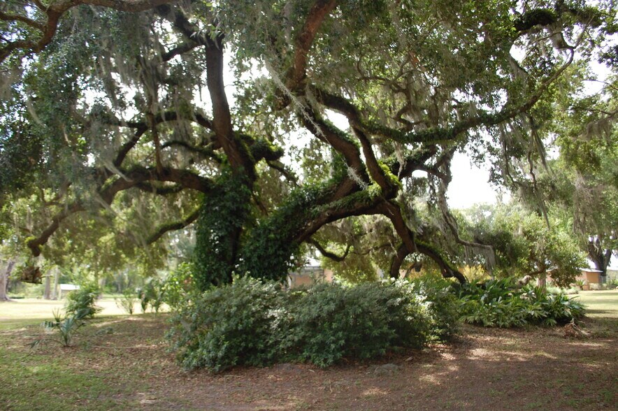 More Photos Of 18811 SE 243rd St, Hawthorne Specialty For Sale