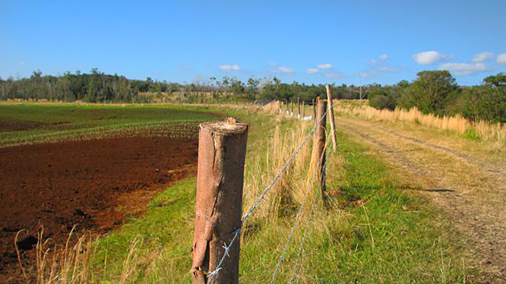 More Photos Of 27-5159 Puia Rd, Papaikou Land For Lease