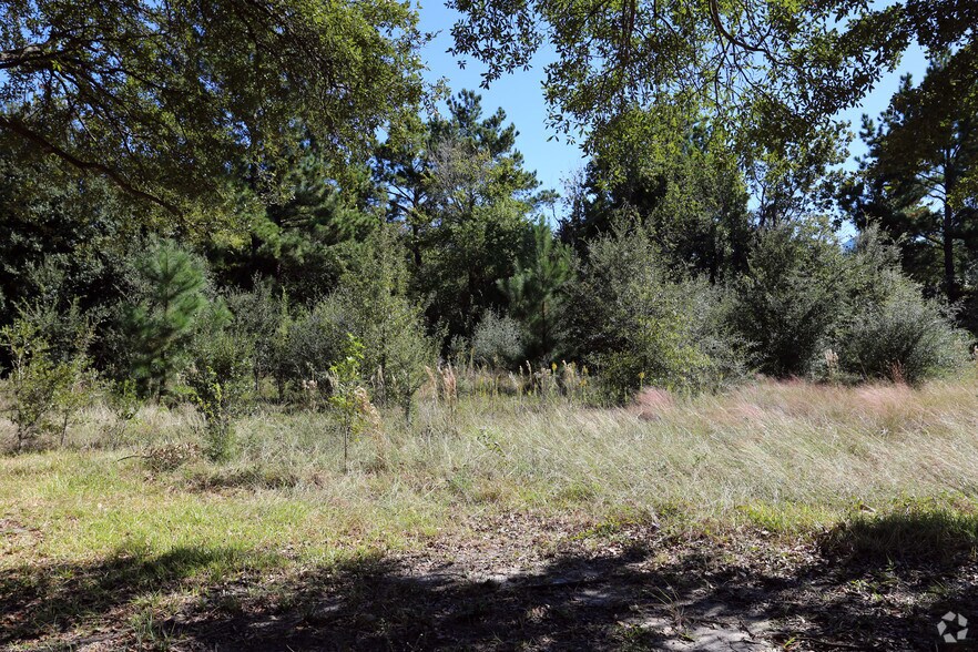 Primary Photo Of 0 Greens Pky, Houston Land For Sale