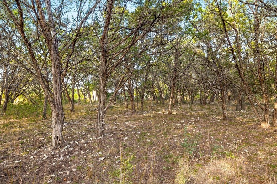 More Photos Of 10107 Davy Crockett Dr, Austin Land For Sale