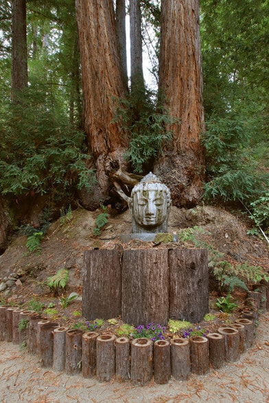 More Photos Of 16770 Redwood Lodge Rd, Los Gatos Lodge Meeting Hall For Sale