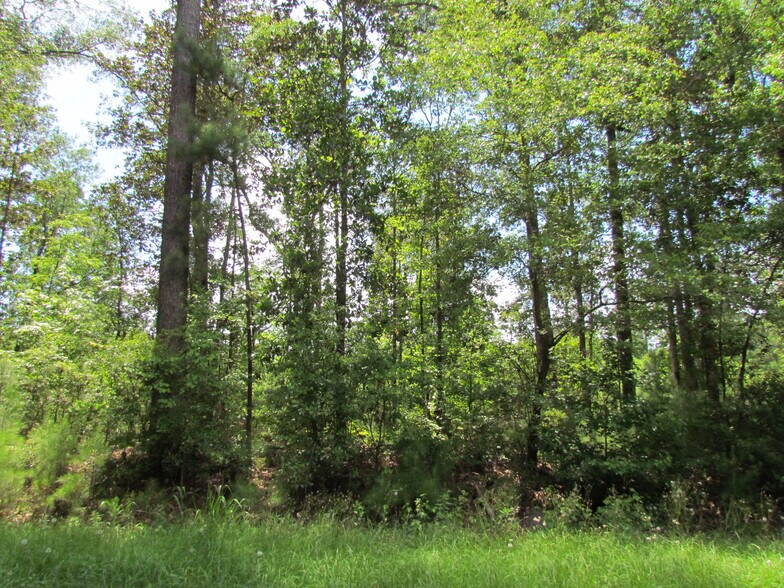 More Photos Of 214A Seabrook Rd, Seabrook Land For Sale