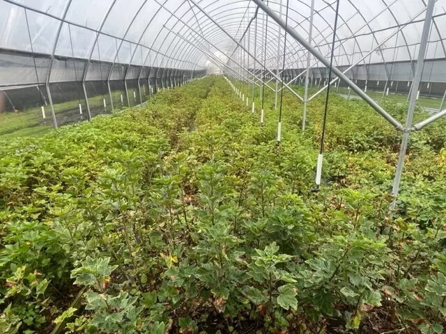 More Photos Of 9555 Gast Rd, Bridgman Shelter For Sale