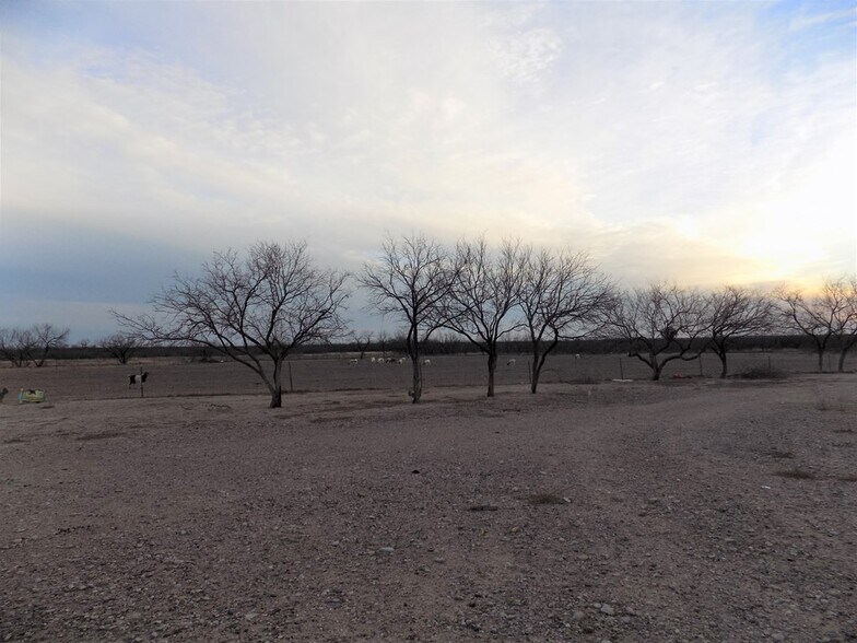 More Photos Of 20543 FM1021 Est, El Indio Land For Sale