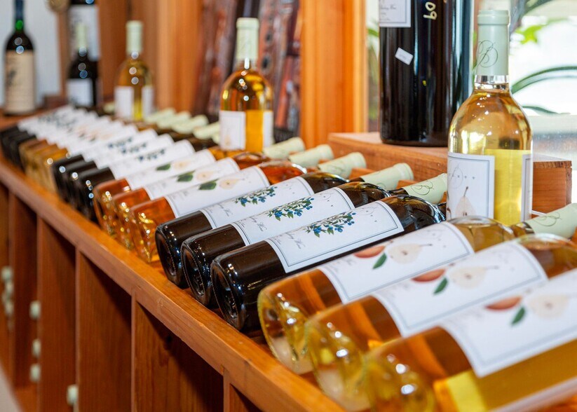 More Photos Of 175 Chicken Mill Pond Rd, Gouldsboro Winery Vineyard For Sale