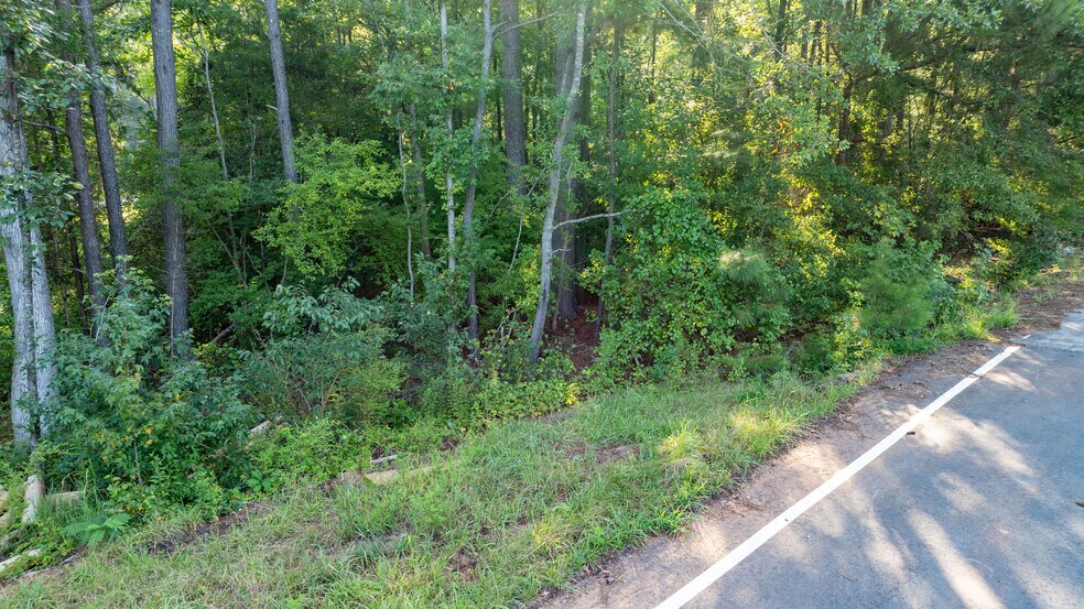 More Photos Of 62 Turin Rd, Senoia Land For Sale