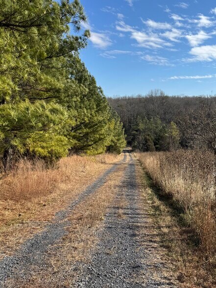 More Photos Of 461 Thunderbird Rd, Bentonville Land For Sale