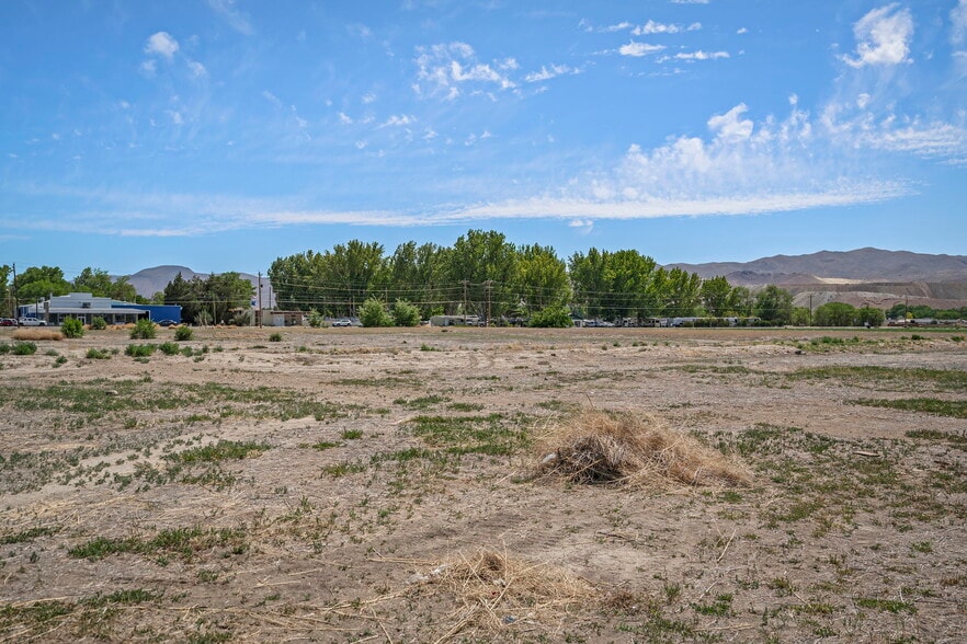 Primary Photo Of 0 Bridge St, Yerington Land For Sale