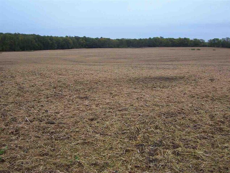 More Photos Of 210th Street Northeast, Solon Land For Sale