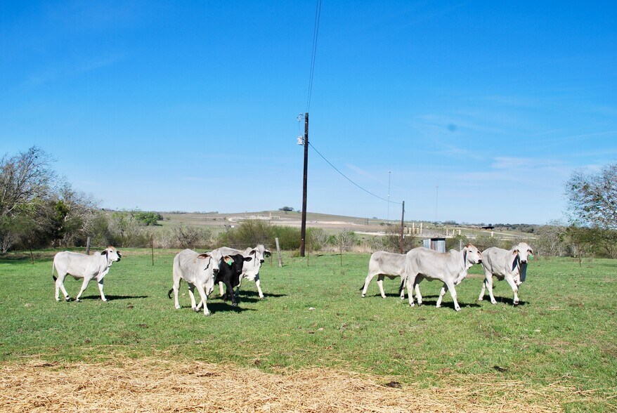 More Photos Of TBD State Highway 95, Moulton Land For Sale