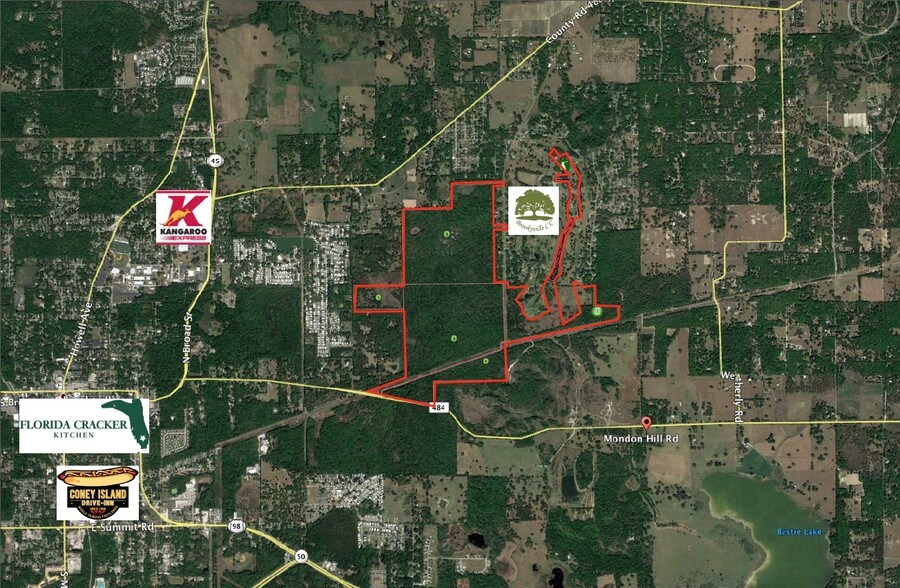 More Photos Of 23196 MONDON HILL Rd, Brooksville Land For Sale