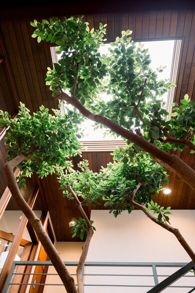 More Photos Of 535 N Highway 101, Solana Beach Office For Lease