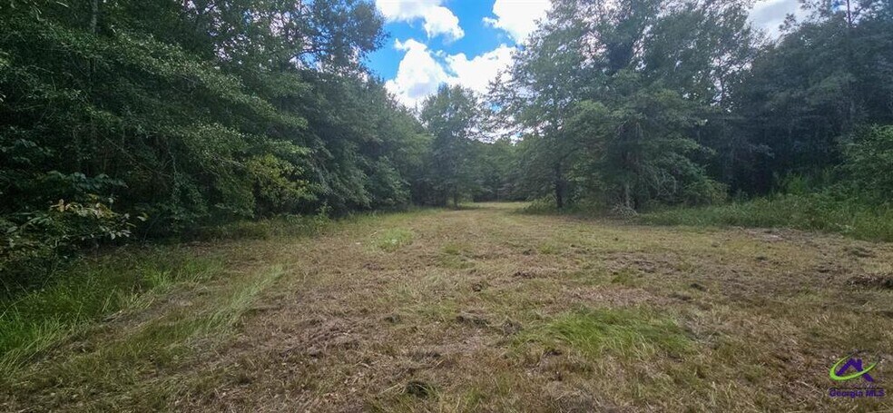 More Photos Of 21.20 Acres Priest Road, Vienna Land For Sale
