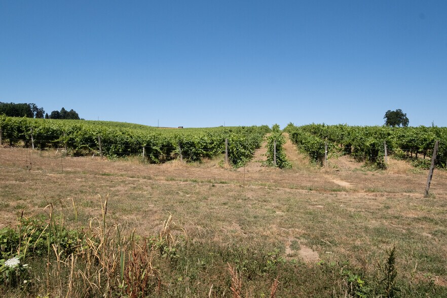 More Photos Of 10845 Brateng Rd, Monmouth Winery Vineyard For Sale