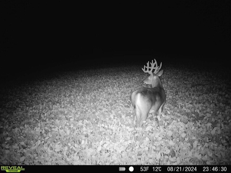 More Photos Of Fisher Road, Iola Land For Sale