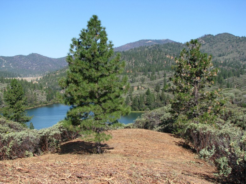 More Photos Of 16757 Eastshore Rd, Redding Land For Sale