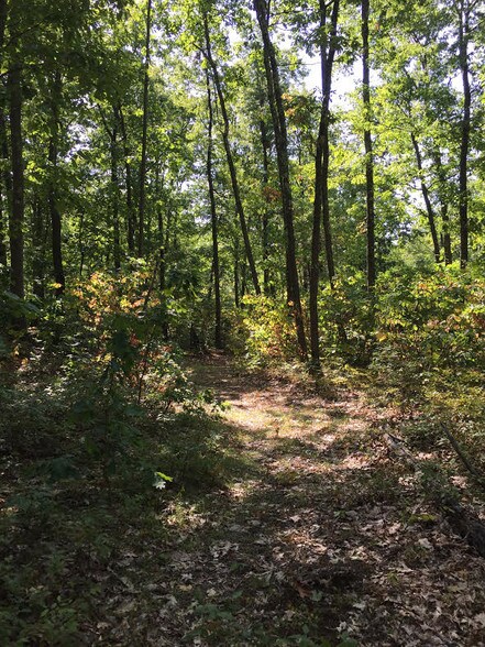 More Photos Of County Road 27 / cross St. Greeley Road, Taghkanic Land For Sale