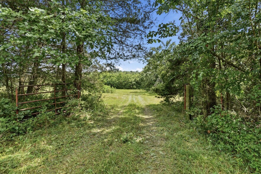 More Photos Of 11373 Colcleasure Rd, Fayetteville Land For Sale
