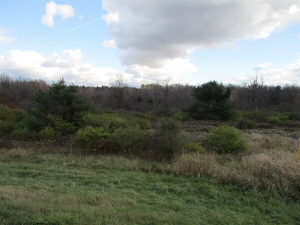 Primary Photo Of 26908 US-11, Evans Mills Land For Sale